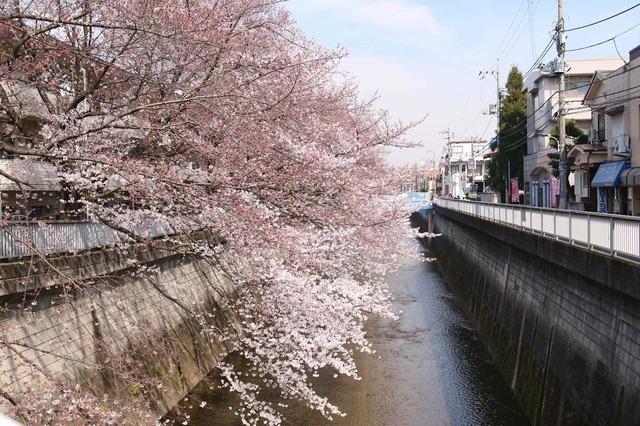 IMG_0697_2048x1365_補正済.jpg