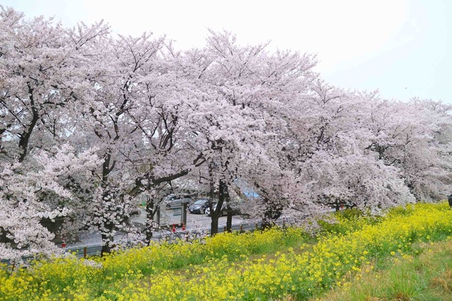IMG_1347_2048x1365_補正済.jpg