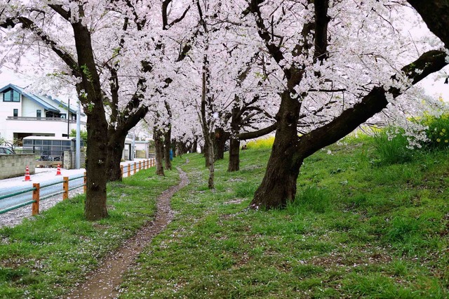 IMG_1359_2048x1365_補正済.jpg