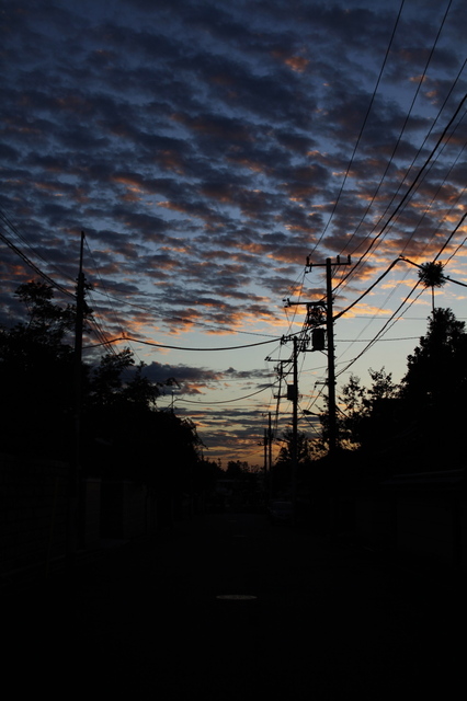 IMG_1934_1280x853.jpg