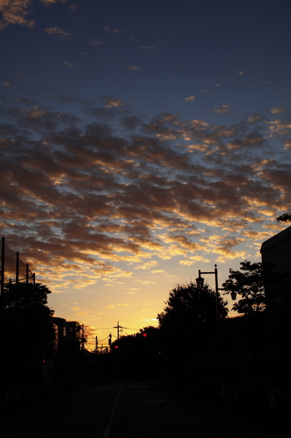 IMG_1942_1280x853.jpg