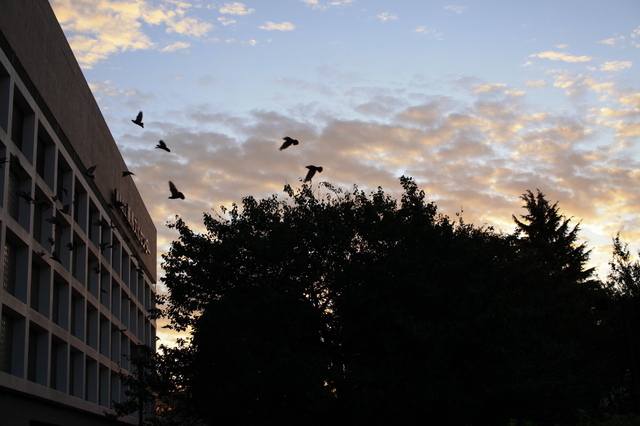 IMG_1950_1280x853.jpg