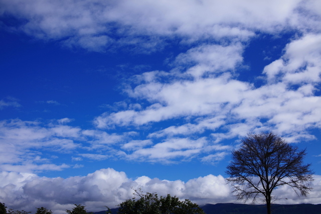 IMG_1968_1280x853.jpg