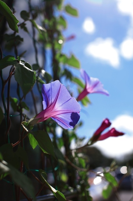 IMG_2011_1280x853_補正済.jpg