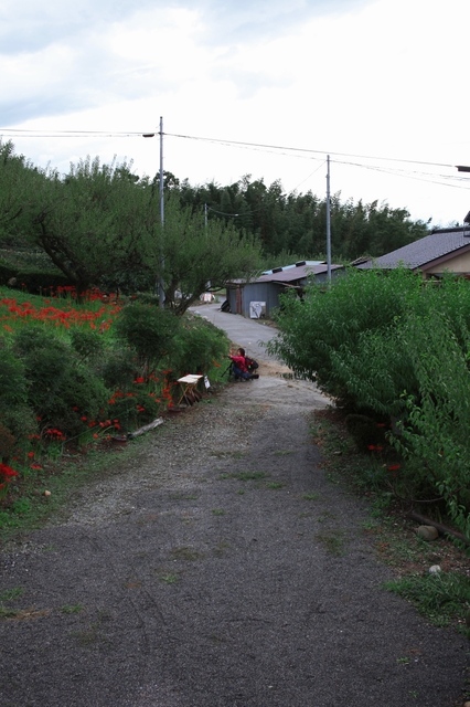 IMG_2046_1280x853_補正済.jpg