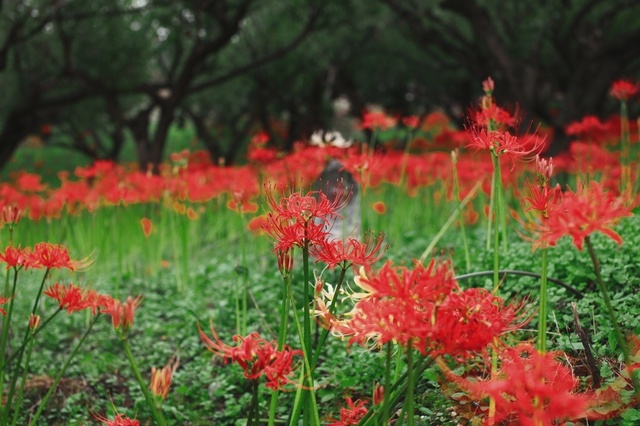 IMG_2054_1280x853_補正済.jpg