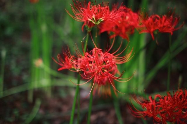 IMG_2061_1280x853_補正済.jpg