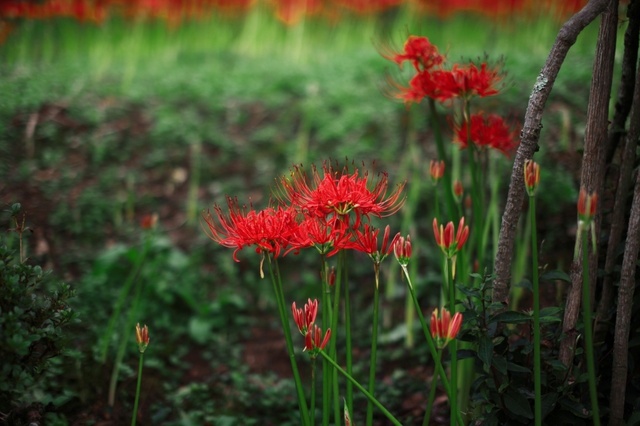 IMG_2062_1280x853_補正済.jpg