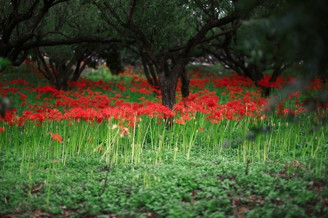 IMG_2063_1280x853_補正済.jpg