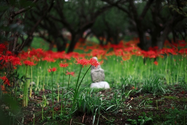 IMG_2066_1280x853_補正済.jpg