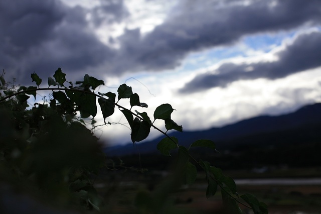 IMG_2086_1280x853_補正済.jpg