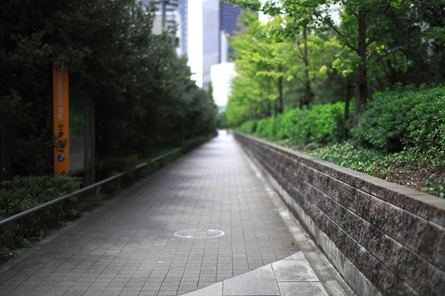 IMG_2356_1280x853_補正済.jpg