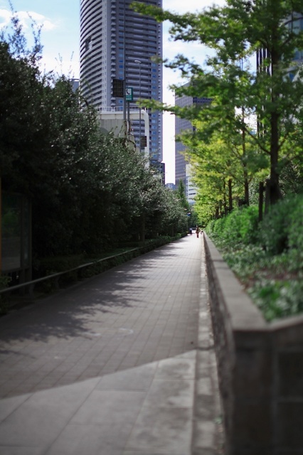 IMG_2358_1280x853_補正済.jpg