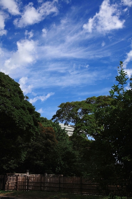 IMG_2366_1280x853_補正済.jpg