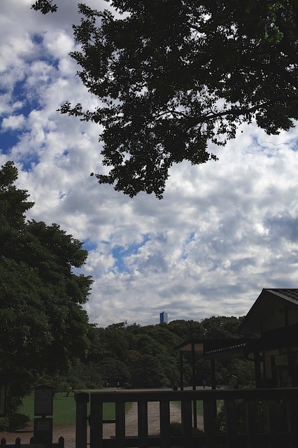 IMG_2369_1280x853_補正済.jpg