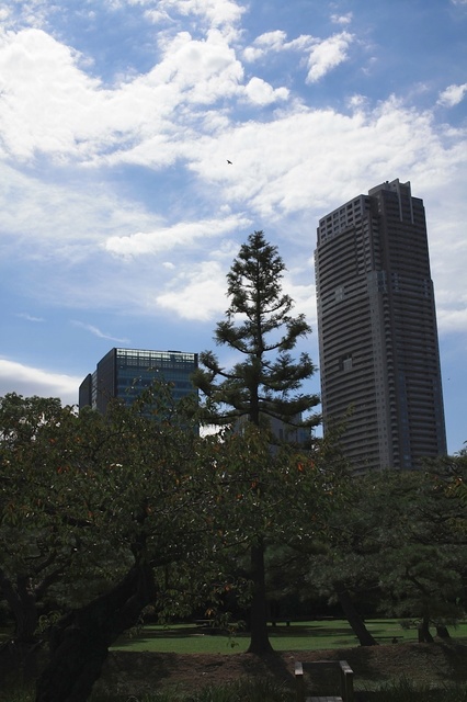 IMG_2373_1280x853_補正済.jpg