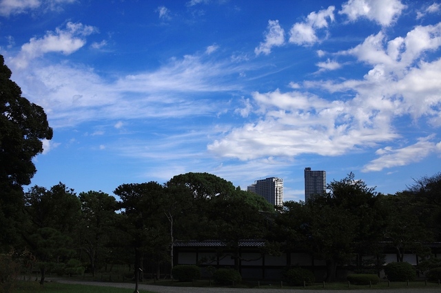 IMG_2376_1280x853_補正済.jpg