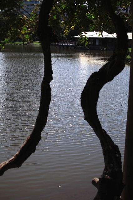 IMG_2408_1280x853＿補正済.jpg