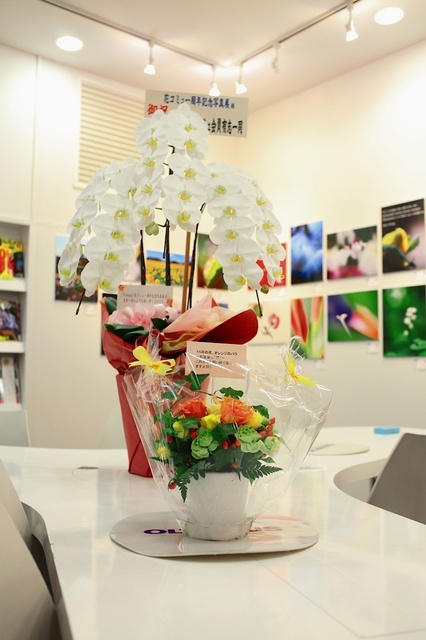 IMG_3307_1280x853_補正済.jpg