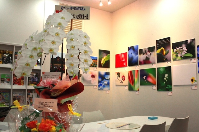 IMG_3312_1280x853_補正済.jpg