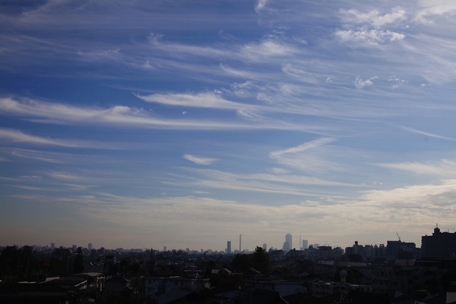 IMG_4476_1280x853_補正済.jpg