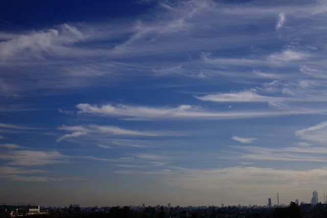 IMG_4477_1280x853_補正済.jpg
