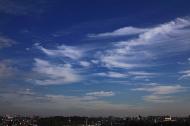 IMG_4483_1280x853_補正済.jpg