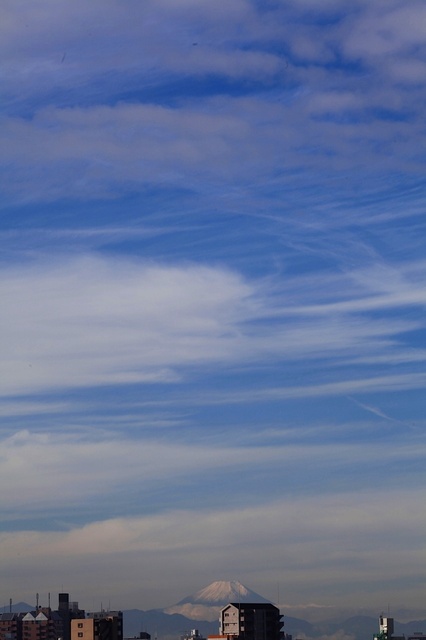 IMG_4495_1280x853_補正済.jpg