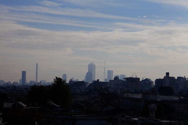 IMG_4496_1280x853_補正済.jpg