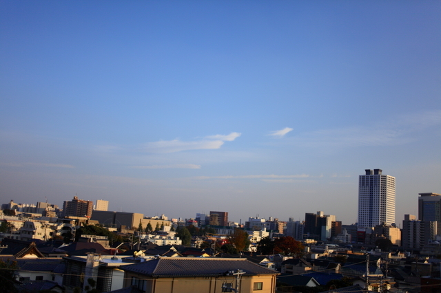 IMG_4971_1280x853.JPG