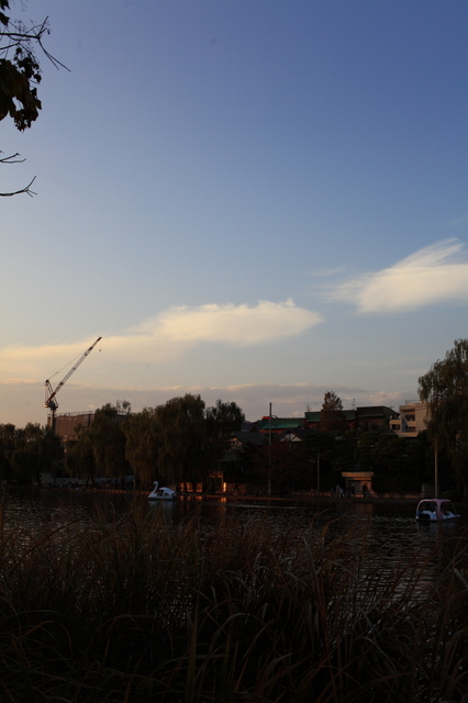 IMG_4984_1280x853.JPG