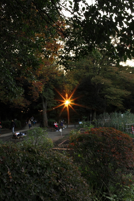 IMG_4987_1280x853.JPG