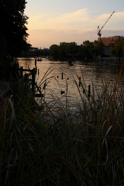 IMG_5000_1280x853.JPG