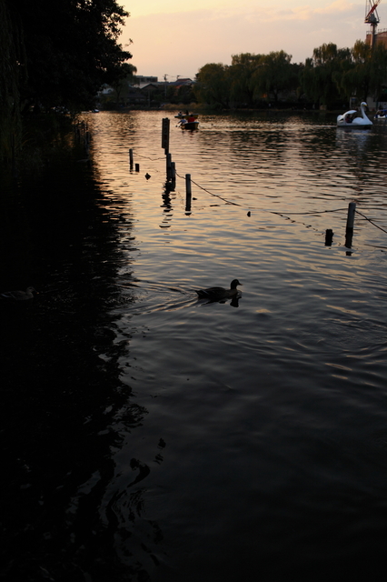 IMG_5002_1280x853.JPG