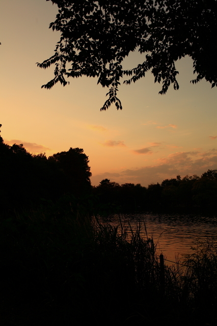 IMG_5039_1280x853.JPG