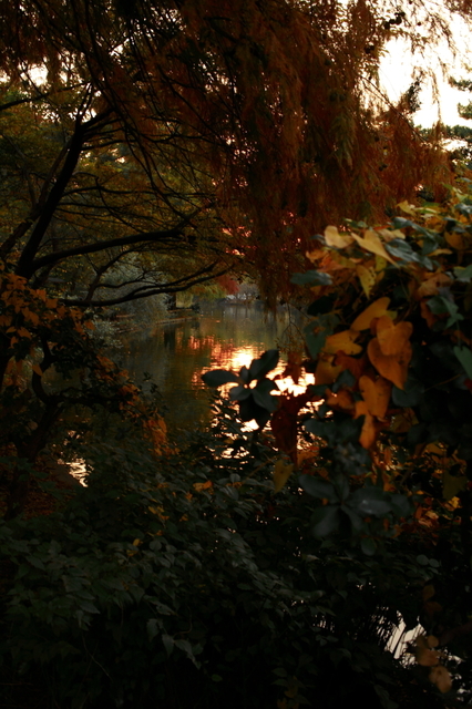IMG_5057_1280x853.JPG