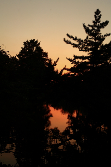 IMG_5062_1280x853.JPG