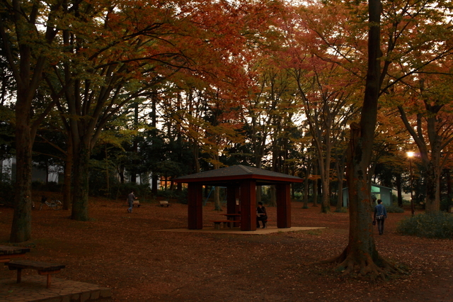 IMG_5079_1280x853.JPG