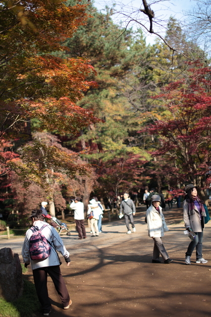 IMG_6142_1280x853.JPG