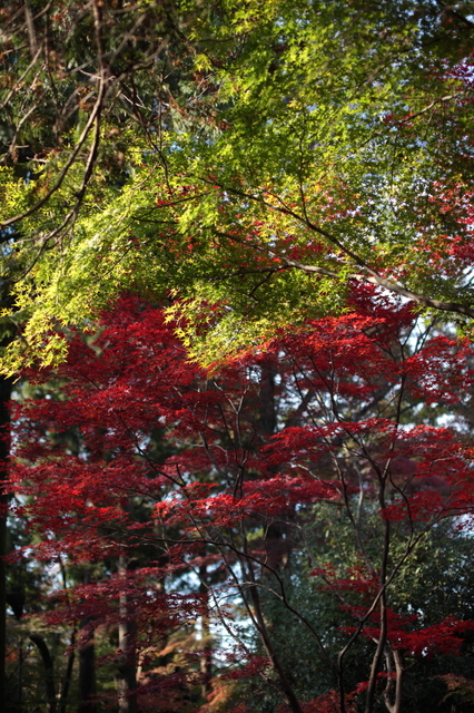 IMG_6143_1280x853.JPG