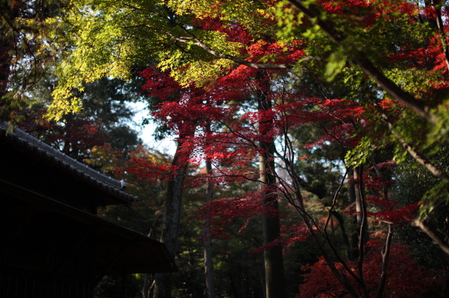 IMG_6147_1280x853.JPG