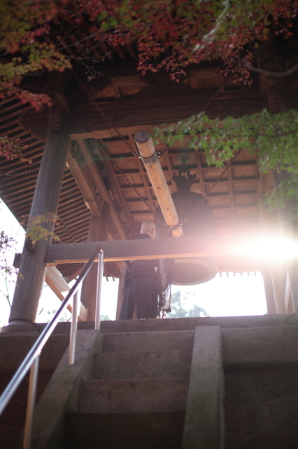 IMG_6199_1280x853.JPG