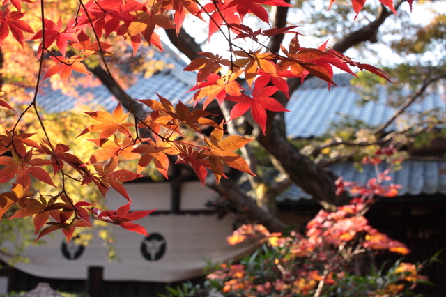 IMG_6212_1280x853.JPG