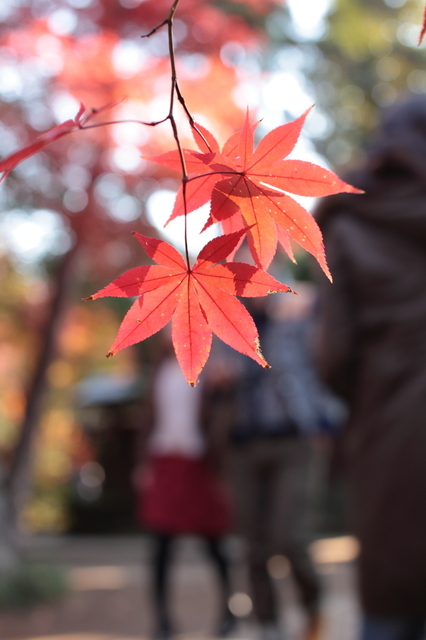 IMG_6215_1280x853.JPG