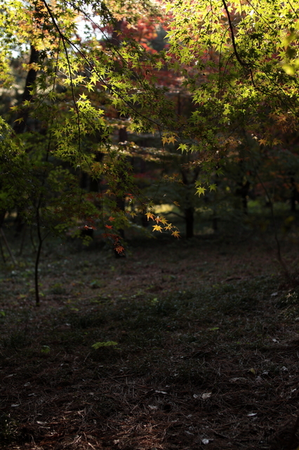 IMG_6249_1280x853.JPG