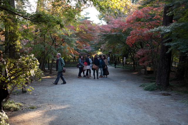 IMG_6253_1280x853.JPG