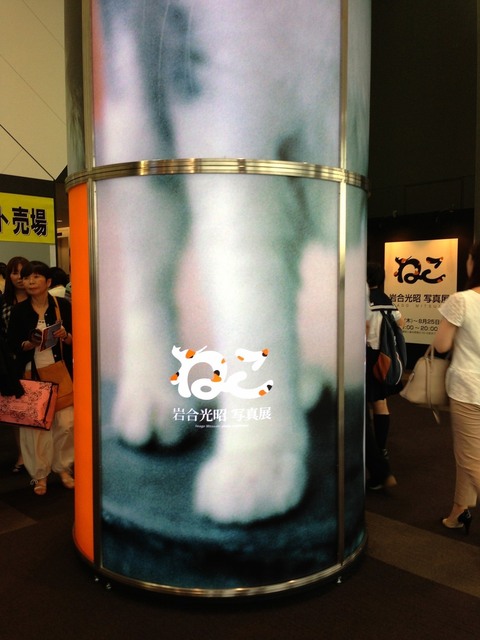 IMG_6576_2048x1536_補正済.jpg