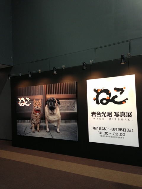 IMG_6577_2048x1536_補正済.jpg