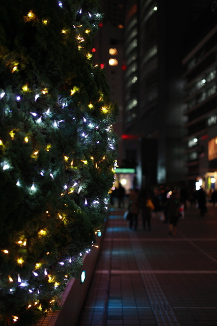 IMG_7355_1280x853.JPG