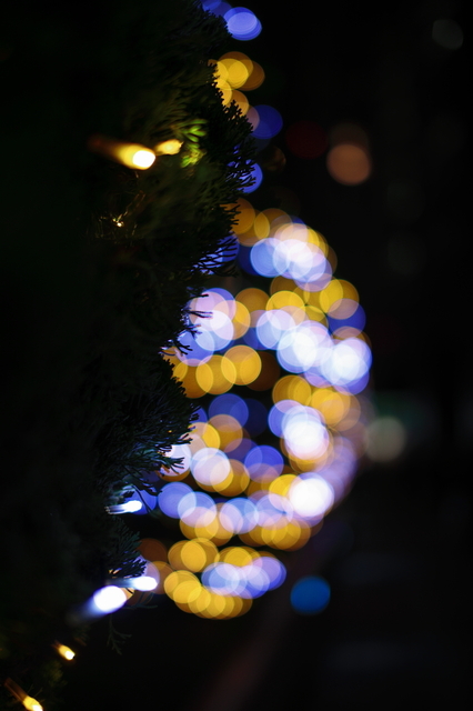 IMG_7360_1280x853.JPG